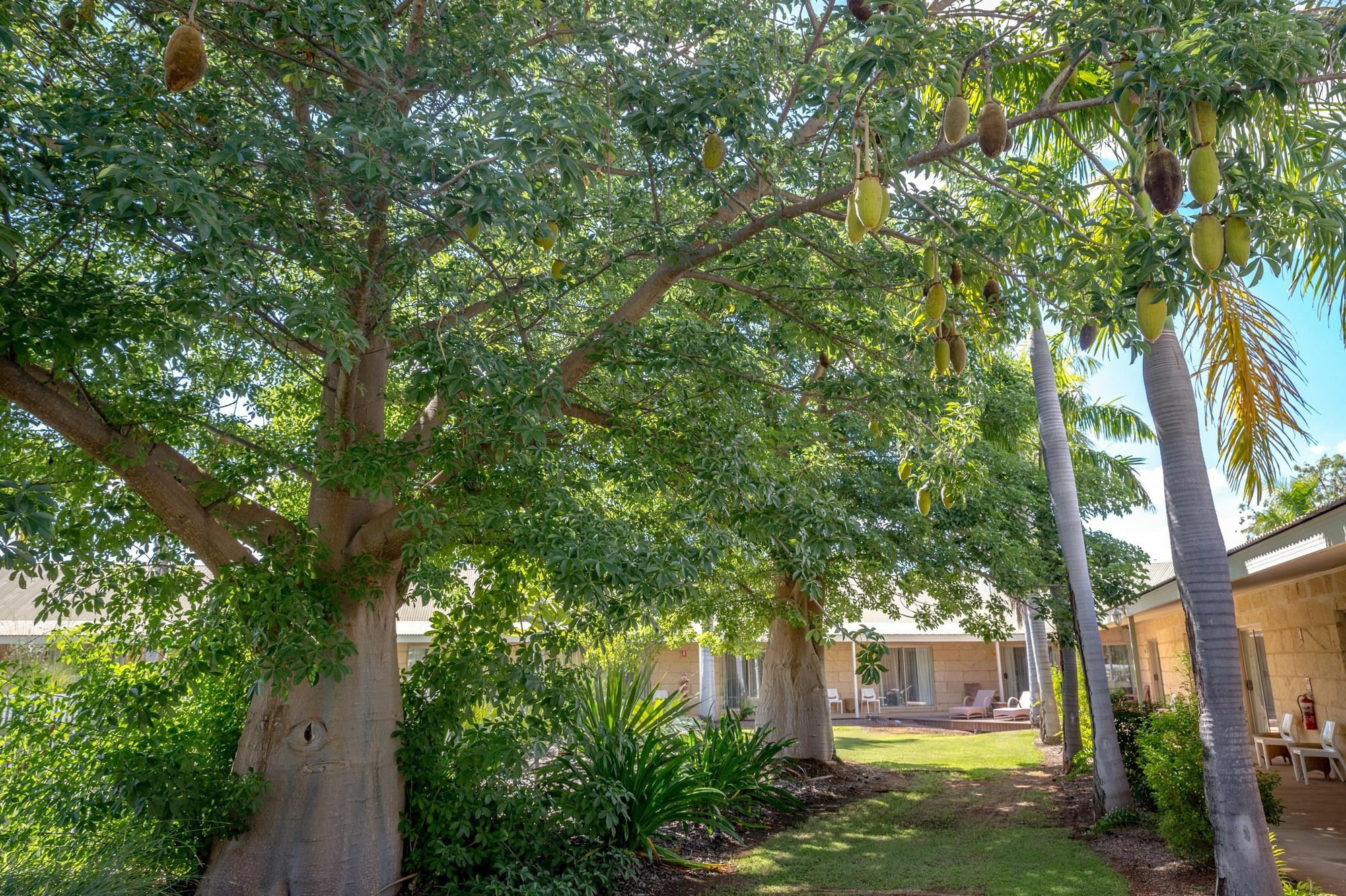 The Kimberley Grande Resort Kununurra Exterior photo